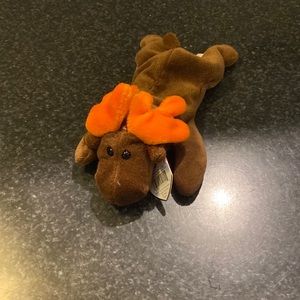 Chocolate the Moose Beanie Baby plush toy